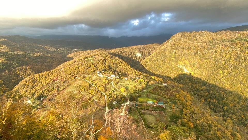 Почему инкубатор в Абхазии выгоднее любого депозита: практический разбор бизнеса на яйце