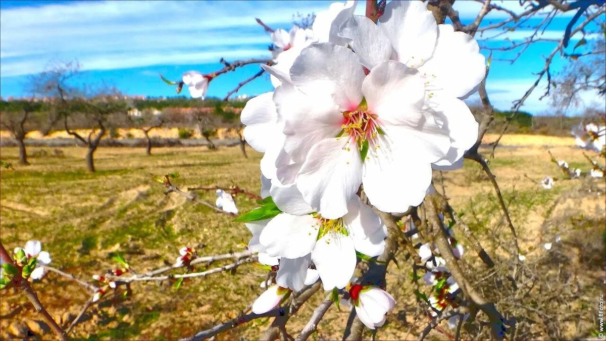 Из открытых источников. Спасибо.