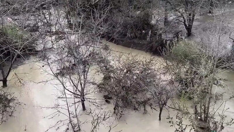      Фото: кадр из видео главы Дагестана