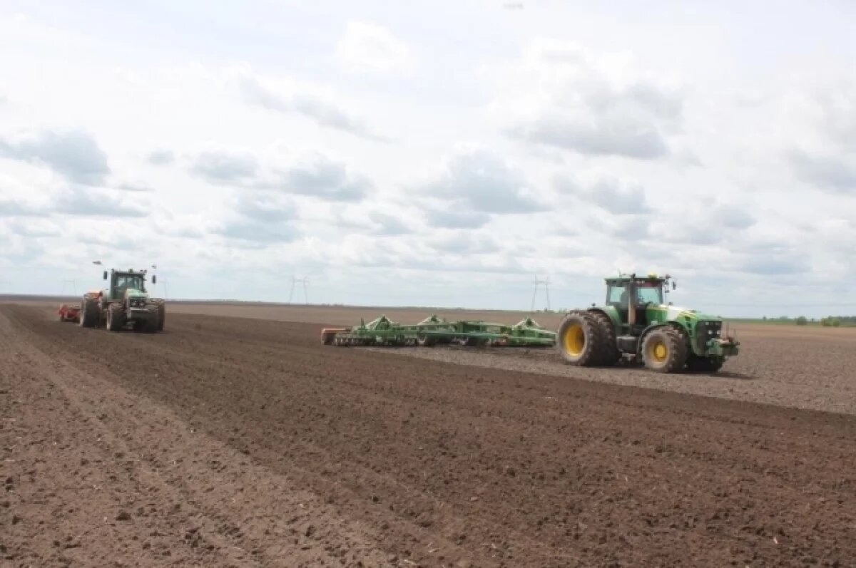    В четырех районах Брянской области начался сев яровых зерновых культур