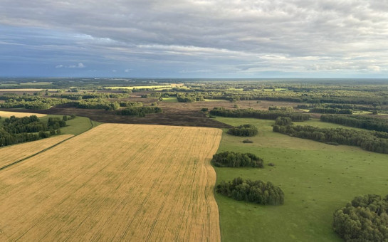    Фото с сайта правительства НСО