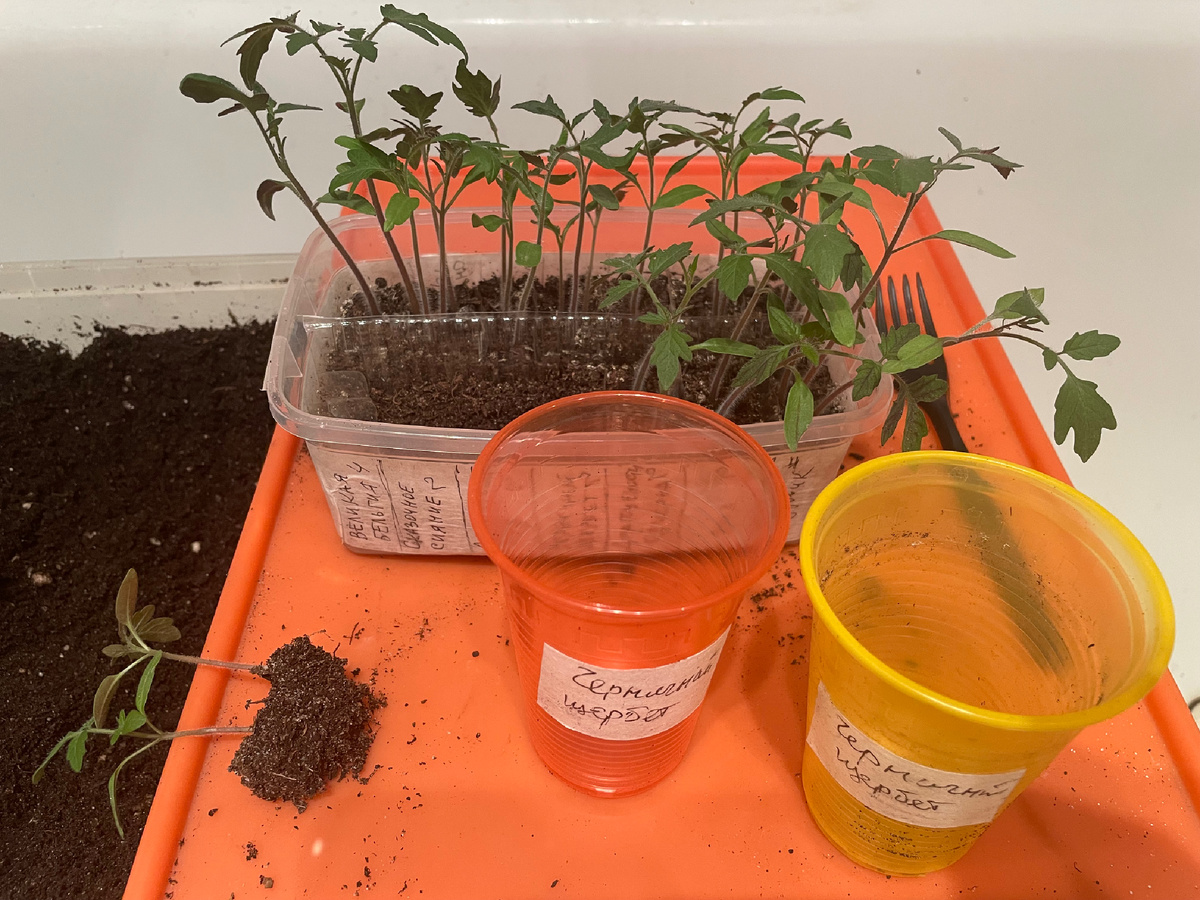 Фото автора 05.04.2026