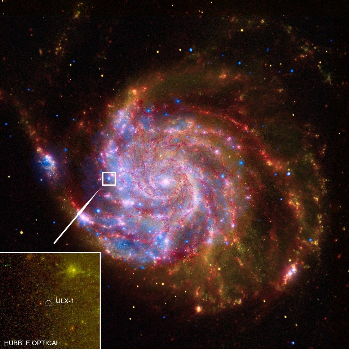    ULX-1 вблизи спирального рукава галактики Вертушка (Messier 101) / © Chandra X-ray Observatory / Spitzer Satellite / Hubble Space Telescope / GALEX Satellite