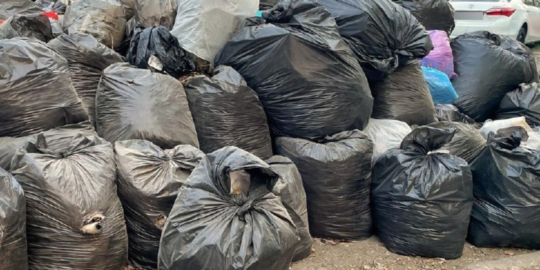 Ветки и мешки с листьями, собранные на субботнике, запретили оставлять на контейнерных площадках