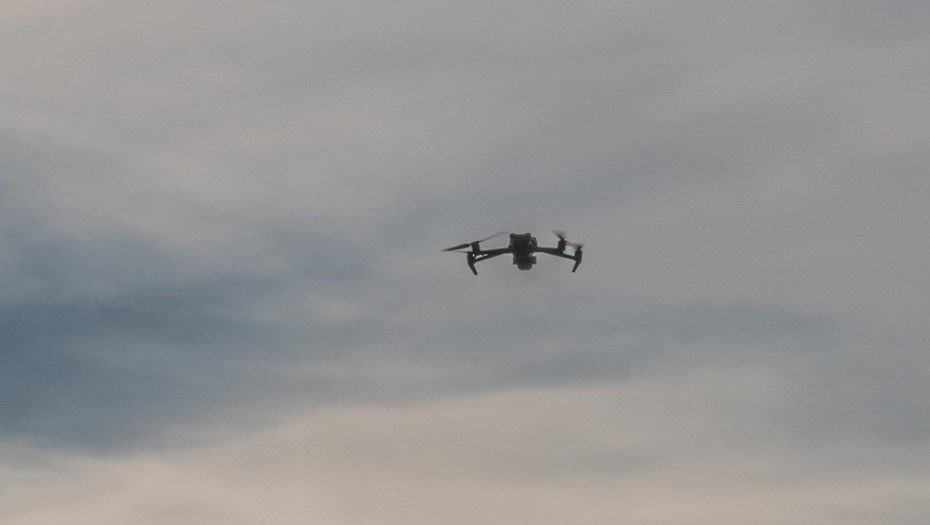    Автор фото: Тихонов Михаил