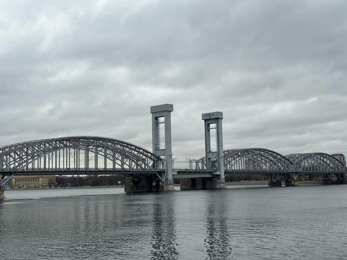    Фото: "Бриф24"