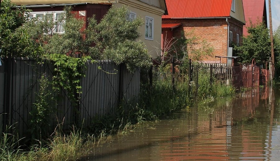    Фото: мэрия Новосибирска