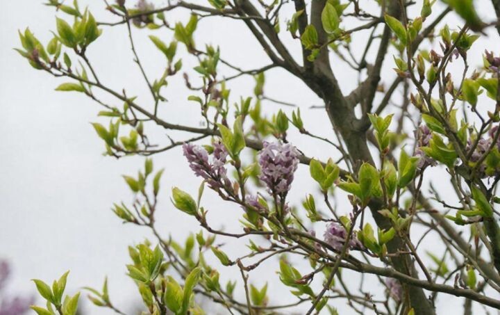    Фото:сгенерировано с помощью GigaChat