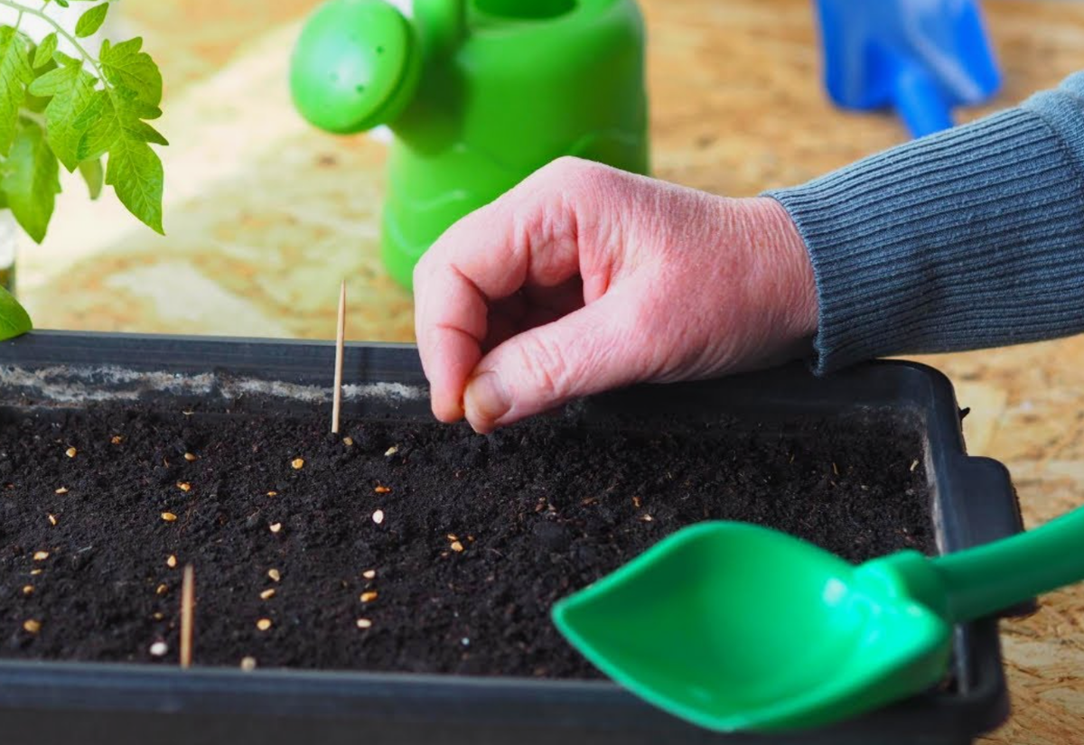 Источник фото: youtube.com