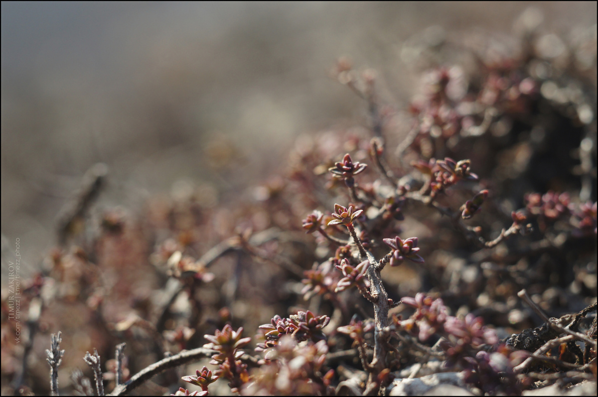 Тут целых 6 фотографий, полистайте =)