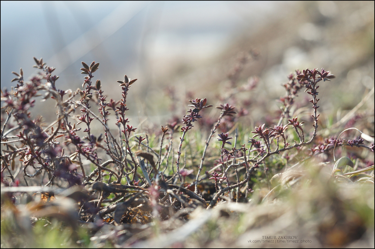Всего 8 фотографий в галере. Посмотрите все =)