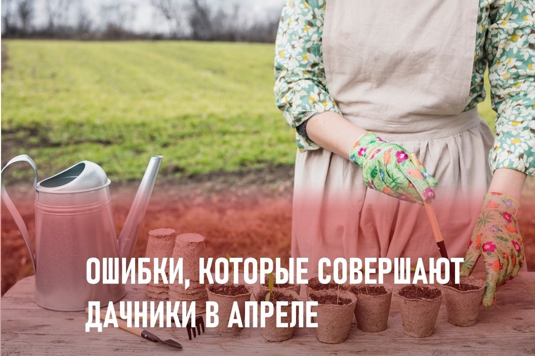 Фото: https://ru.freepik.com/