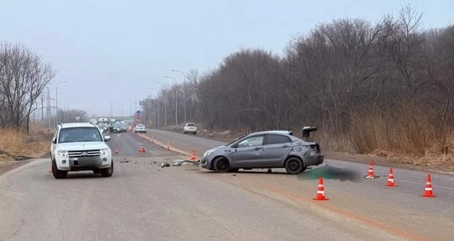    Фото: пресс-служба УГИБДД по Ставропольскому краю Михаил Маслов