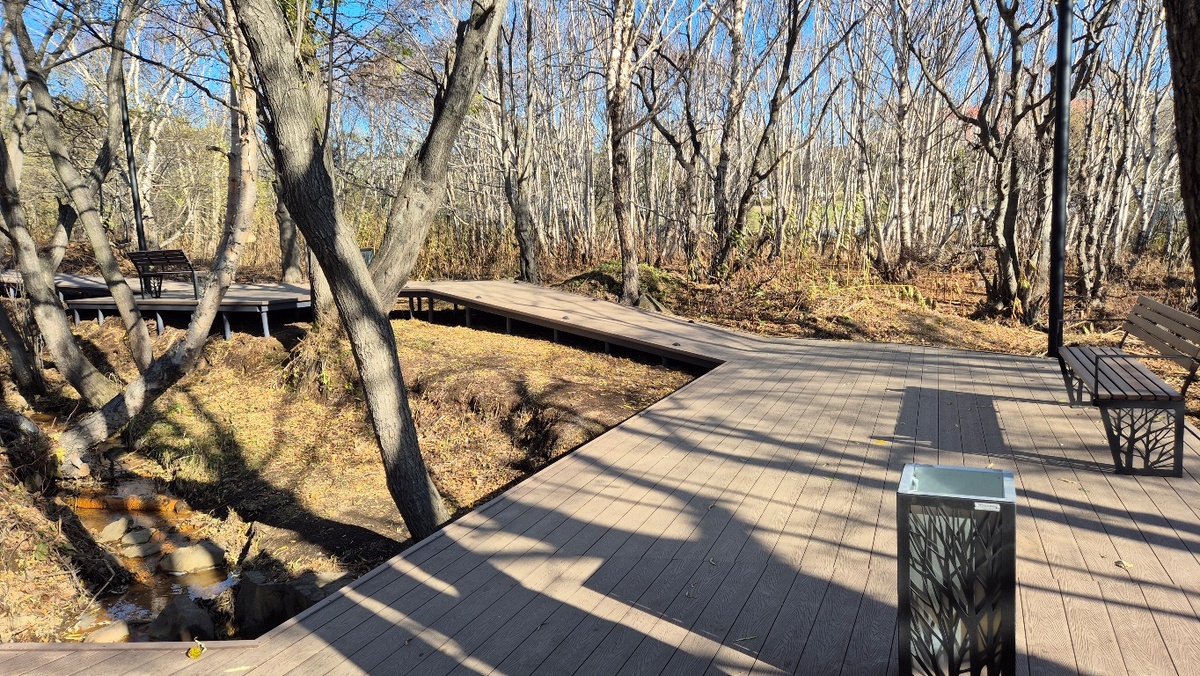 Фото пресс-службы администрации Петропавловска-Камчатского