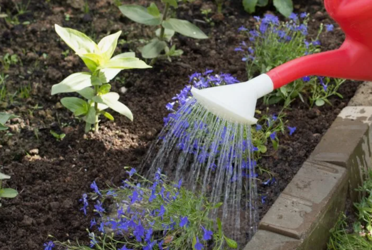 Источник фото: pinterest.com