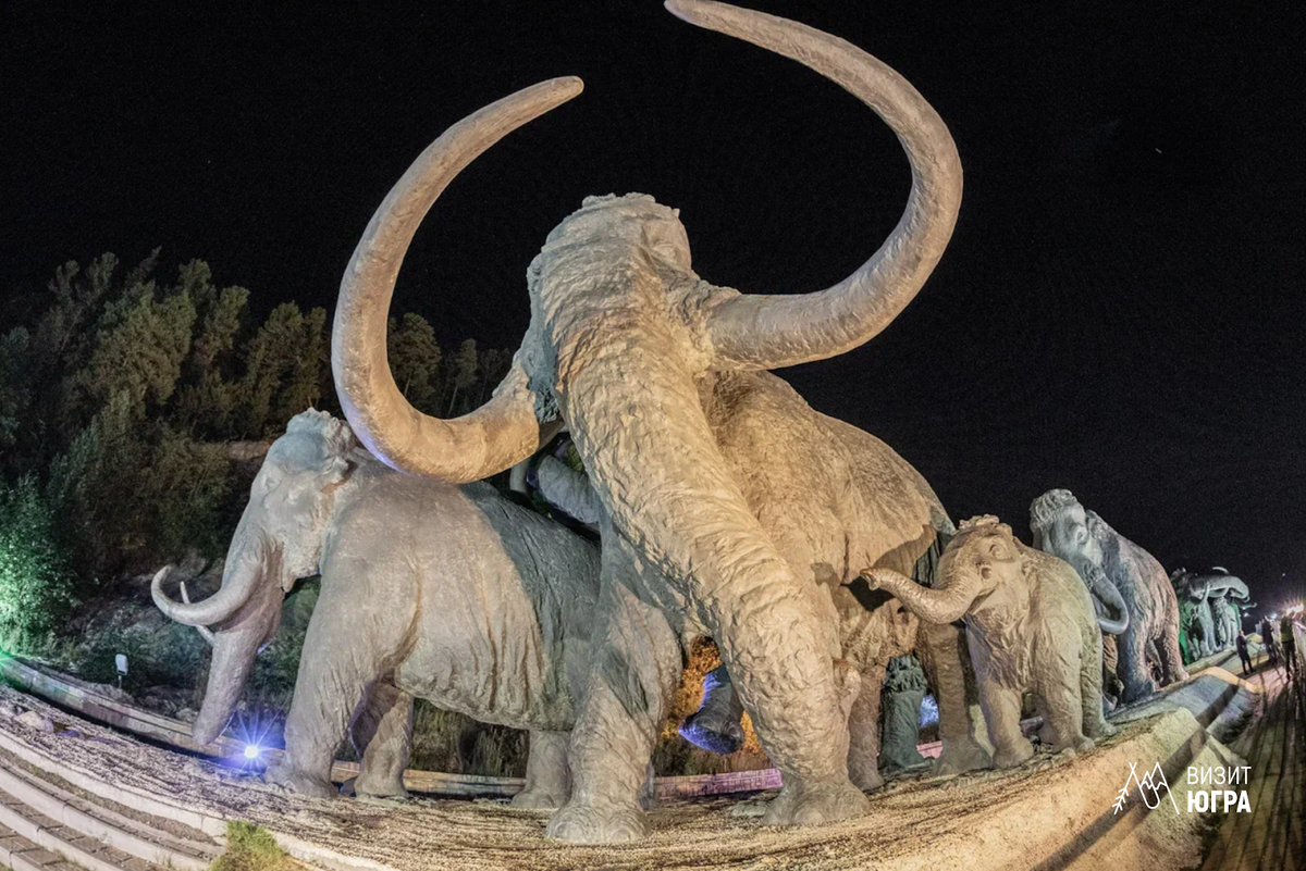 Фото: Сергей Шандин