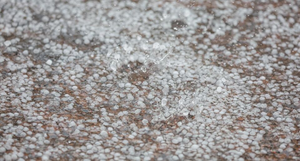    Belkin Alexey/news.ru / www.globallookpress.com