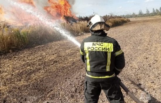    Фото: ГУ МЧС России по Орловской области