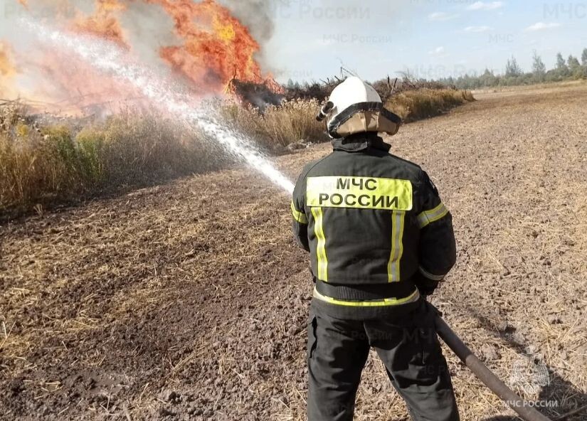    Фото: ГУ МЧС России по Орловской области