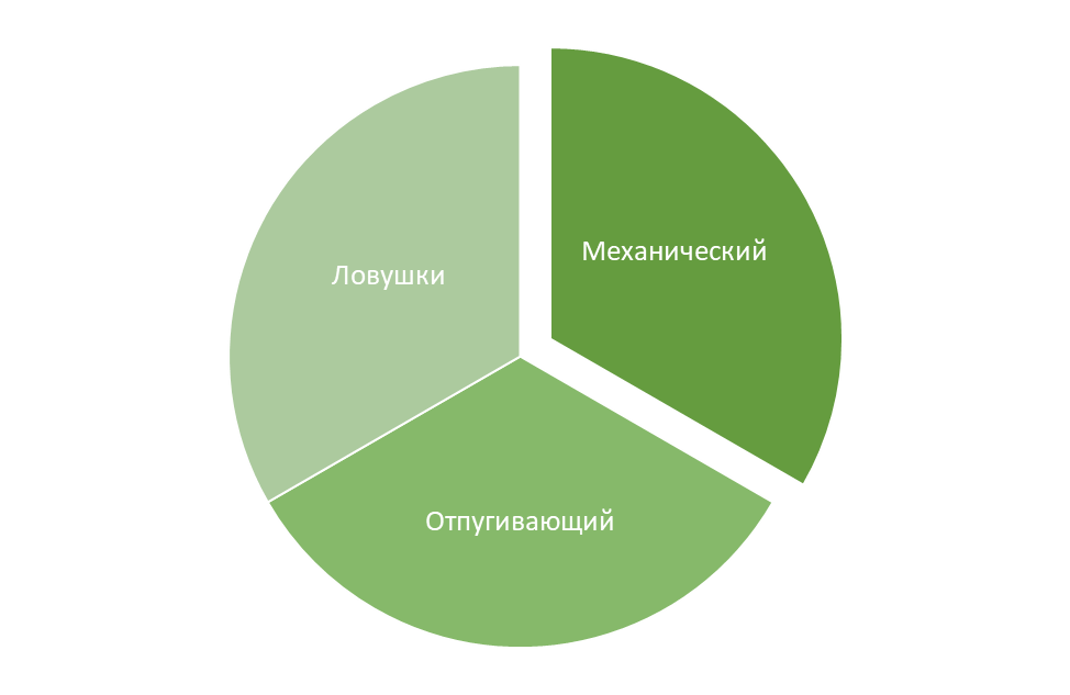 Мои способы избавления от слизней