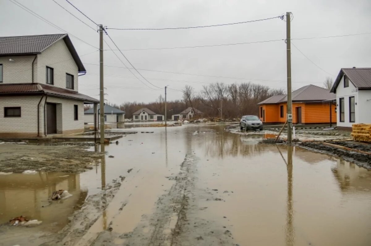    В ближайшие дни в окрестностях Алейска продолжится подъем воды в Алее