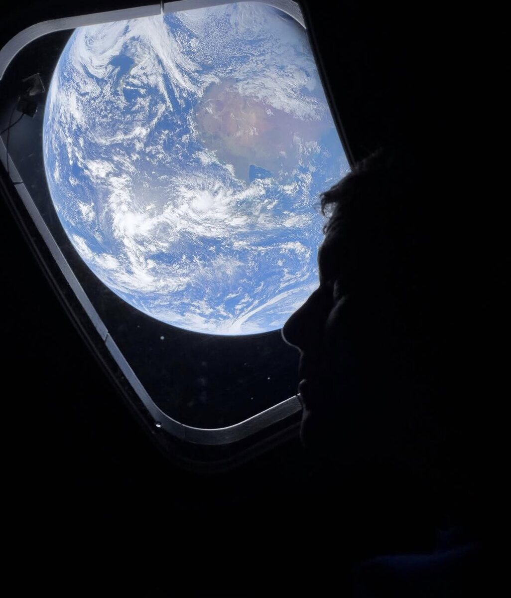 Рид Уайзмен. Селфи