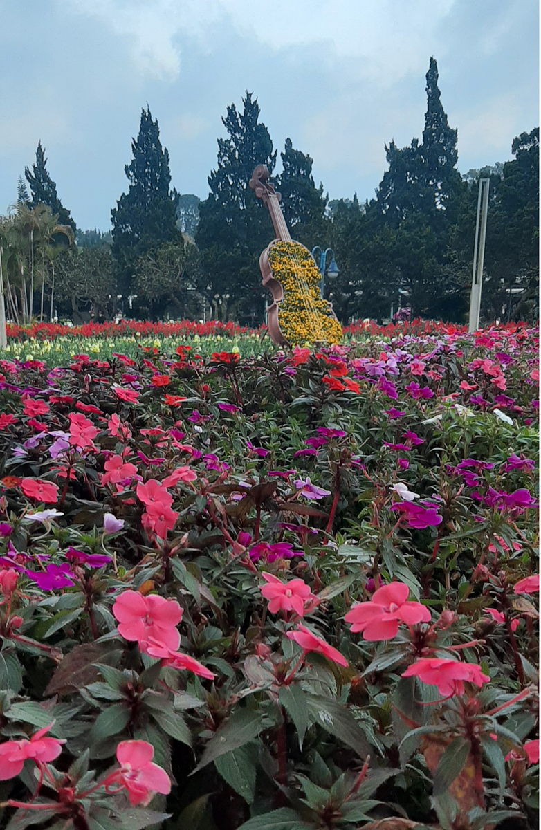 На каждом шагу цветочные композиции