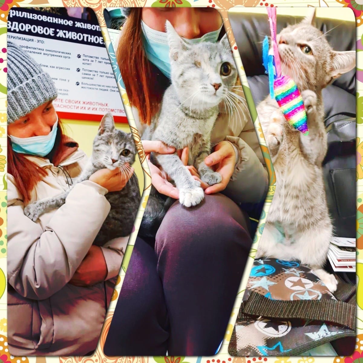 В 2020 году будучи крохотных котёнком, Эля попала в большую беду, но благодарю добрым сердцам поправилась и обрела лучшую семью!