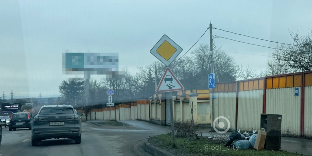 Одни из самых нечистоплотных жителей Одинцовского округа проживают в деревне Мамоново