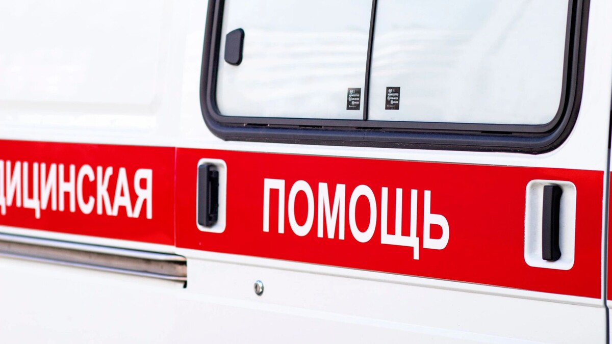    Фото: Daria Lixovetckay/Shutterstock/Fotodom