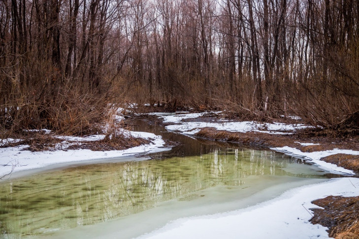 Синоптики подготовили прогноз погоды на 7–10 апреля для Новосибирска