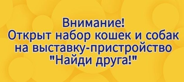 ‼️Внимание‼️ Есть места! Количество ограничено