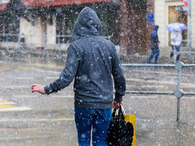    Фото: Москва 24/Лидия Широнина​