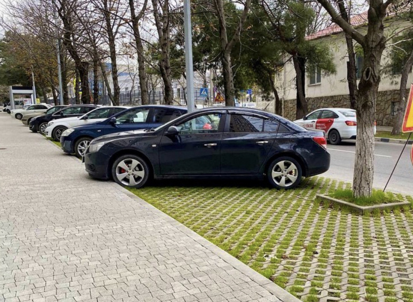 Газонная решетка для обустройства парковочной зоны