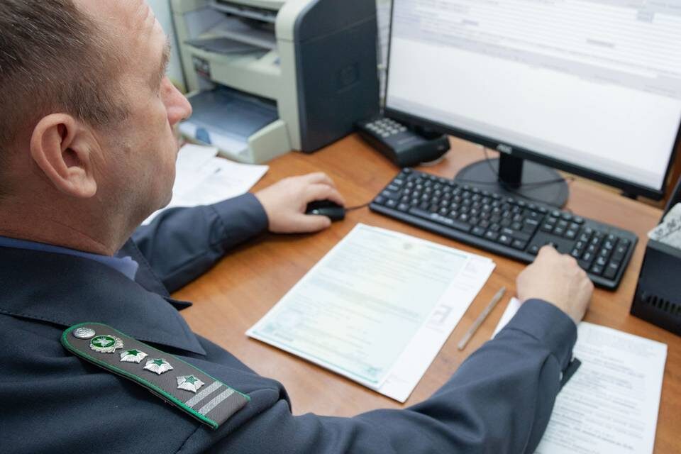    фото: Россельхознадзор