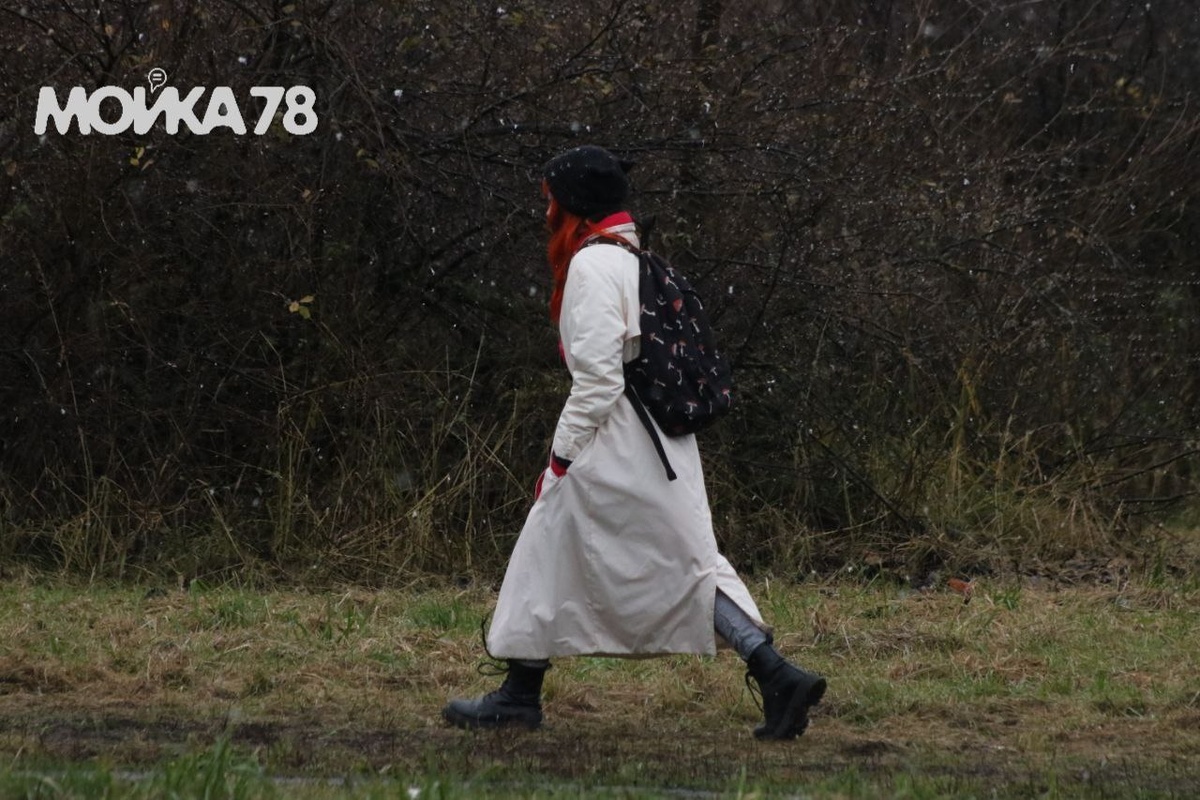    Фото: Мойка78