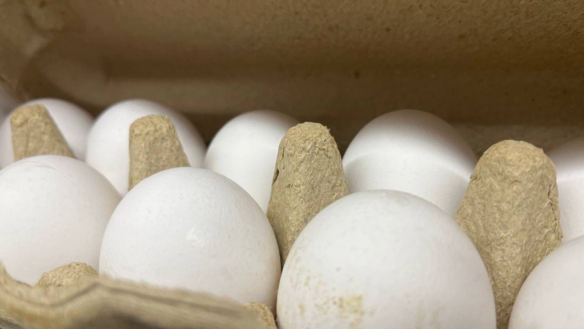    Фотоархив редакции