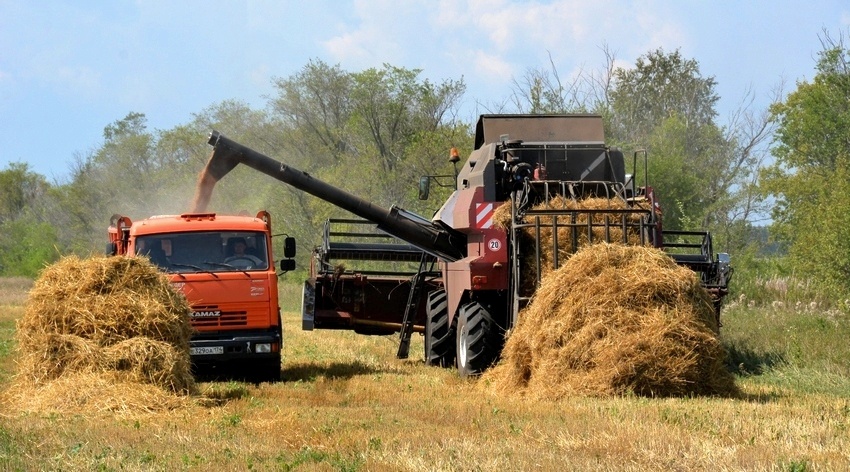 В советское время эти соломенные кучи в одночасье оказались бы на личном подворье у местных жителей... Фото из открытого доступа в Интернете.