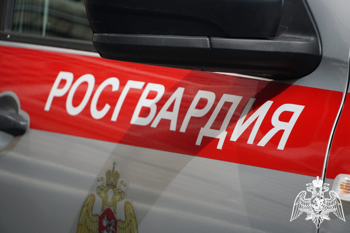    Фото: Росгвардия Карелии