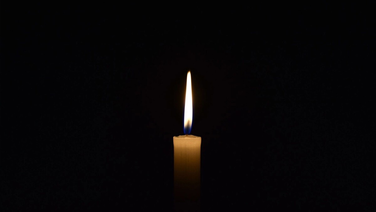    Фото: Dmitriy Yermishin/Shutterstock/Fotodom