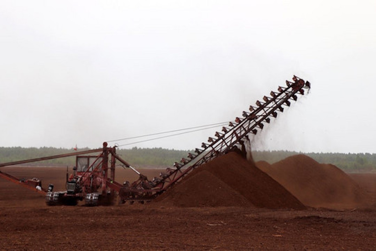    Фото: «Свойкировский.рф», источник: kirov-portal.ru