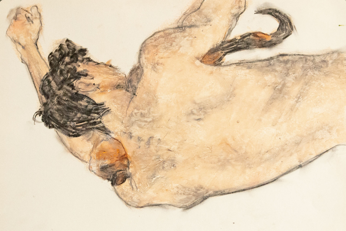    Человек и кошка