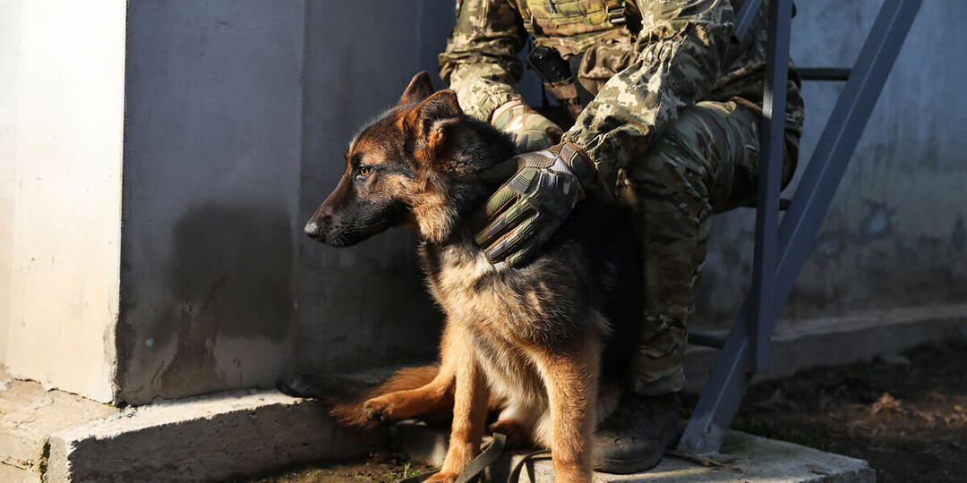 Украинский военнопленный обратился к ВС РФ с просьбой о Зеленском