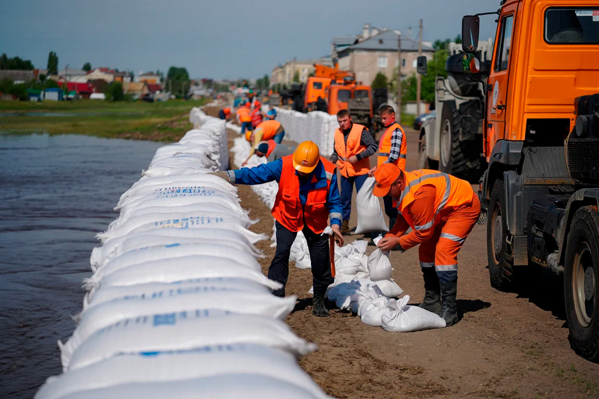    Фото: коллаж RuNews24.ru