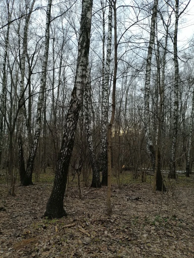 Уже смеркается Фото автора