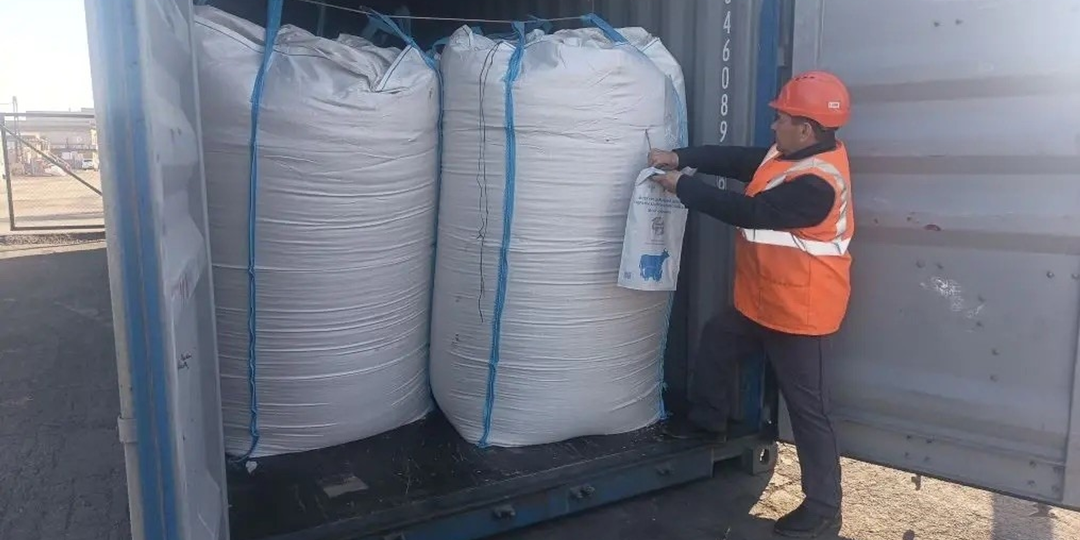 Башкирия отправила более тысячи тонн овса на экспорт в Китай