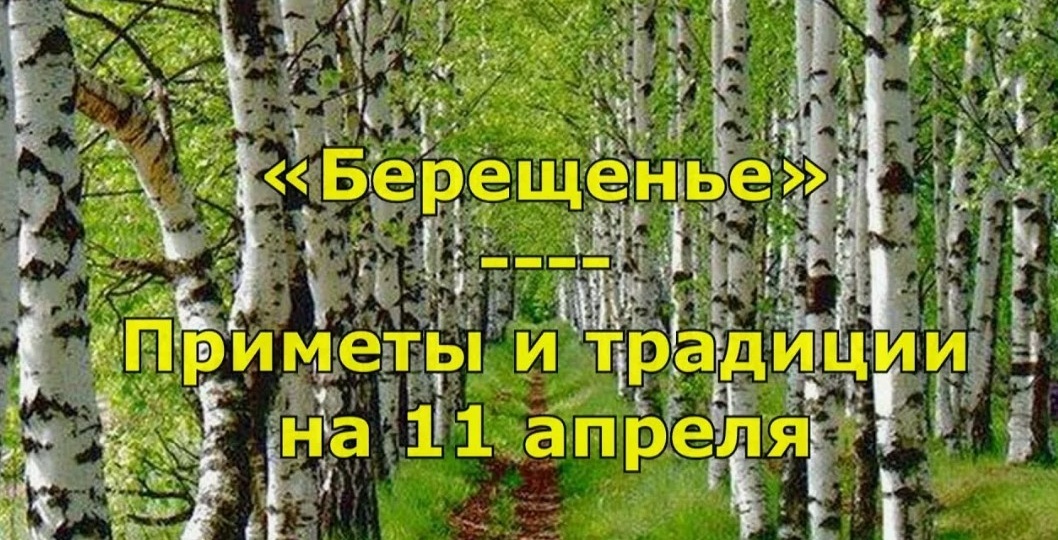Приметы на 11 апреля: День Берёзы, народные традиции и погодные приметы
