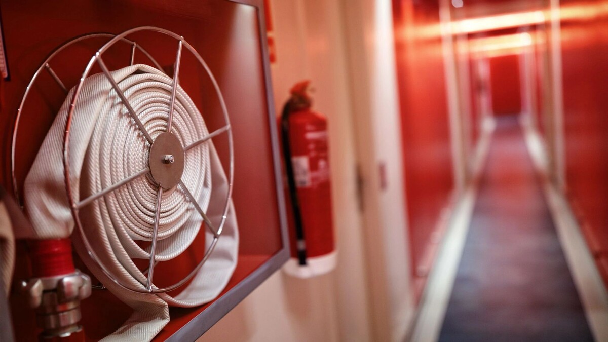    Фото: Brian A Jackson / Shutterstock / Fotodom