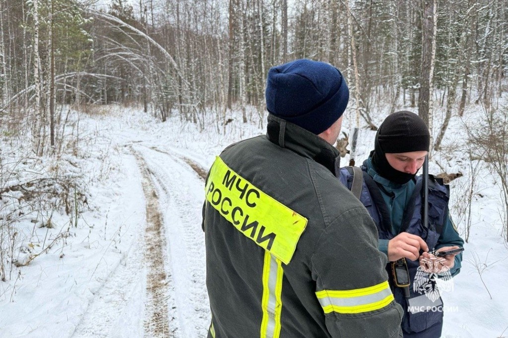    Фото © Telegram / МЧС Красноярского края