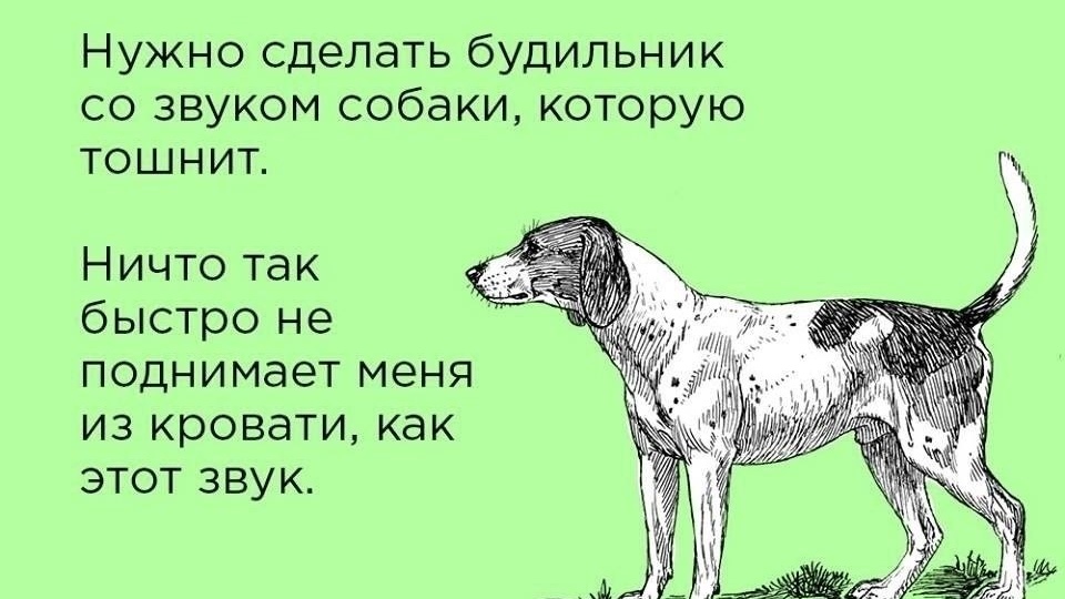 ⏰Мы не знаем, под какие звуки вы просыпаетесь: дверь холодильника? Детский плач? Царапание когтей о диван